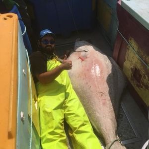 Meet your Posher, Samuel